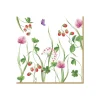 Easy Life Paquet de 20 serviettes EN PLEIN AIR> Services De Table En Porcelaine​|En Plein Air