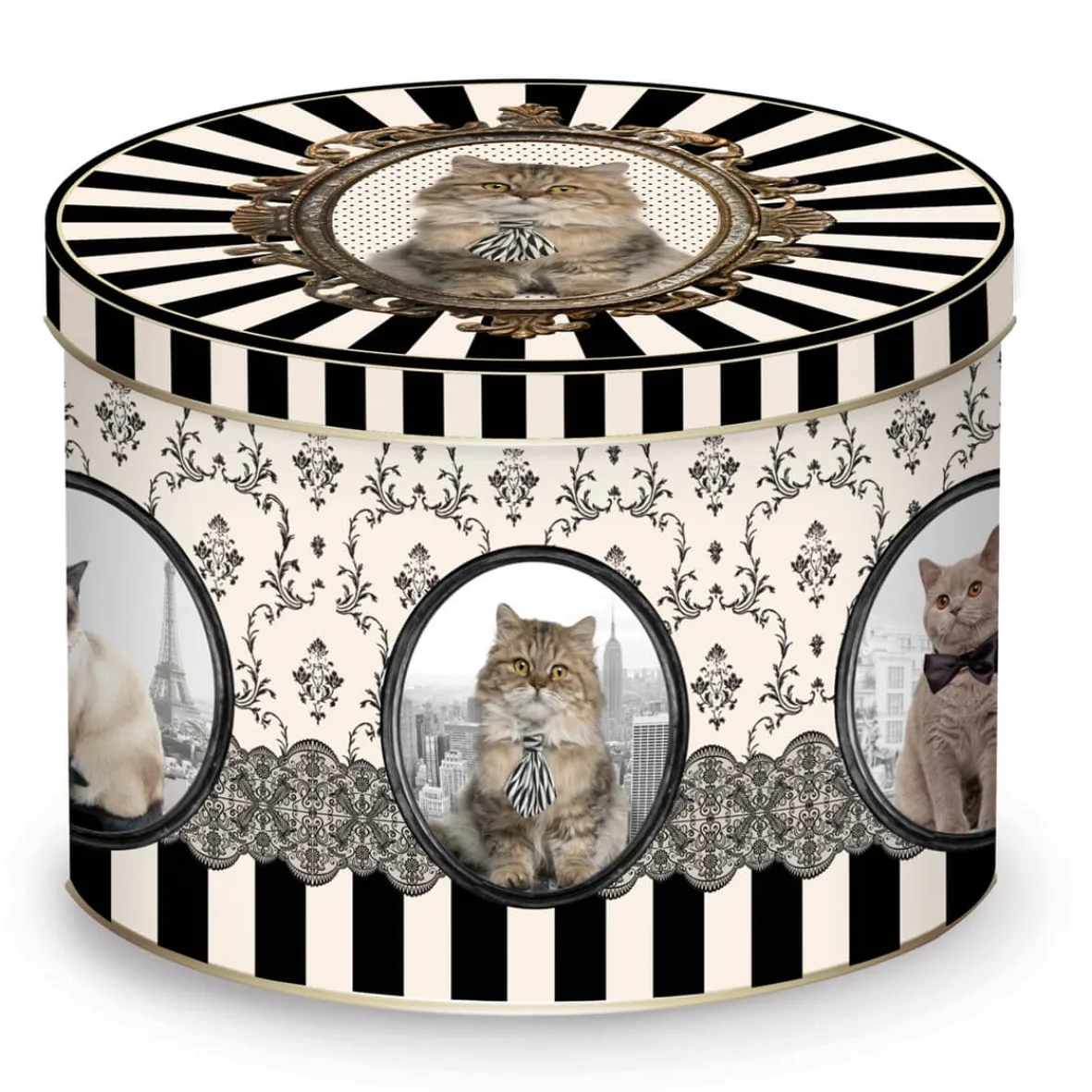 Easy Life Tasse en porcelaine dans une boîte en fer-blanc BAROCCO CATS VersB> Petit Dejeuner